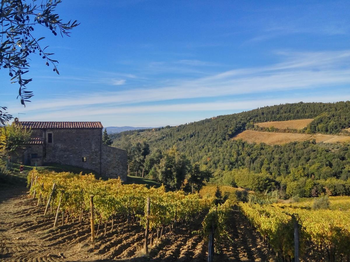 Agriturismo Piemaggino كاستيلّينا إنْ كْيانت المظهر الخارجي الصورة