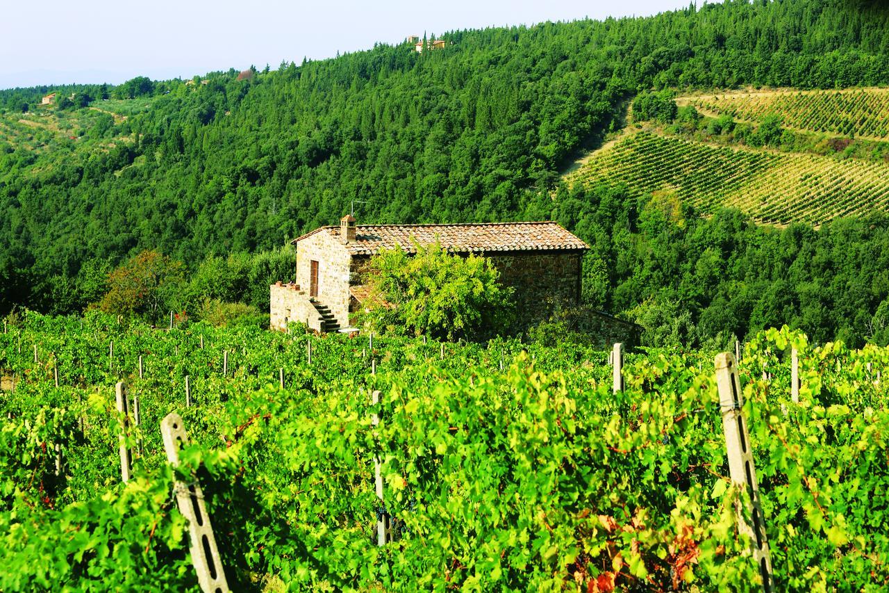 Agriturismo Piemaggino كاستيلّينا إنْ كْيانت المظهر الخارجي الصورة