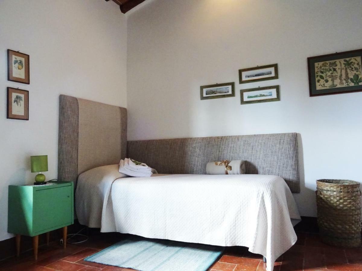 Agriturismo Piemaggino كاستيلّينا إنْ كْيانت المظهر الخارجي الصورة